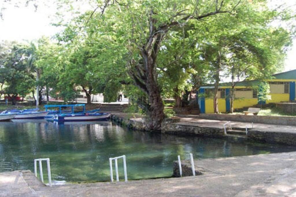 Casa De Las Mariposas Villa Rio San Juan Exterior photo